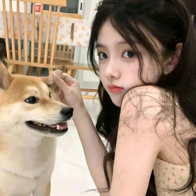 复仇狗联盟